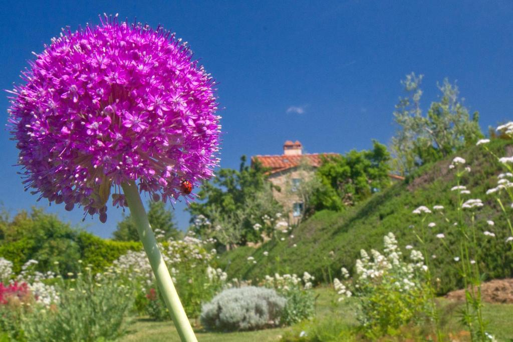 Odina Agriturismo Лоро Чиуфена Екстериор снимка